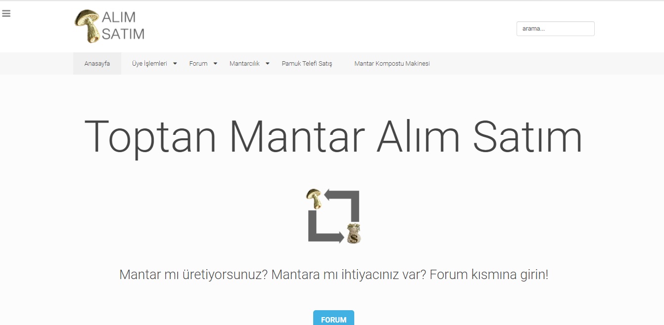 mantaralimsatim.com Image